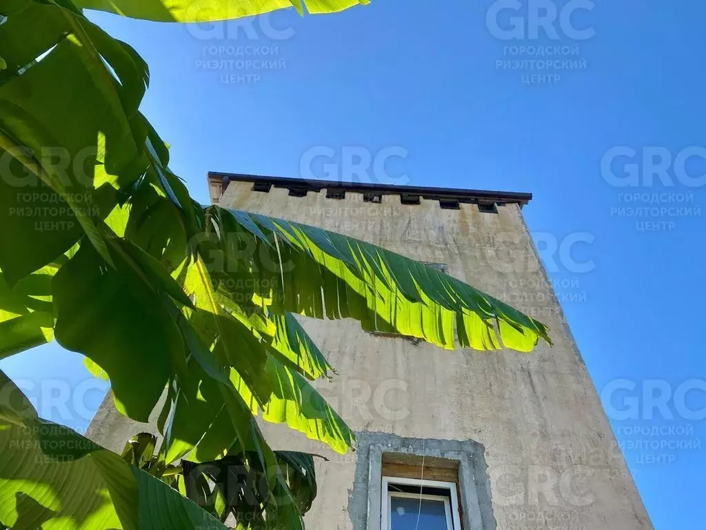 Дом в Краснодарский край, Сочи городской округ, Дагомыс пгт ул. ... - Фото 1