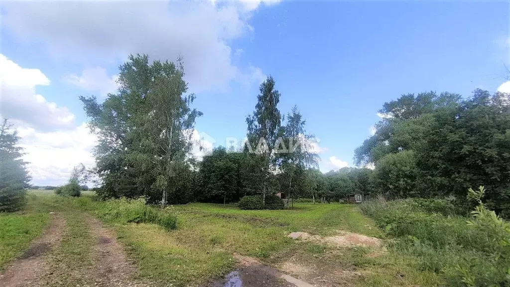 Участок в Владимирская область, Суздальский район, Селецкое ... - Фото 2