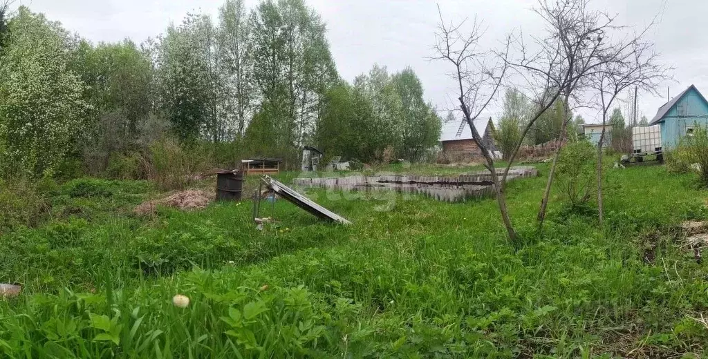 Участок в Архангельская область, Котласский муниципальный округ, ... - Фото 1