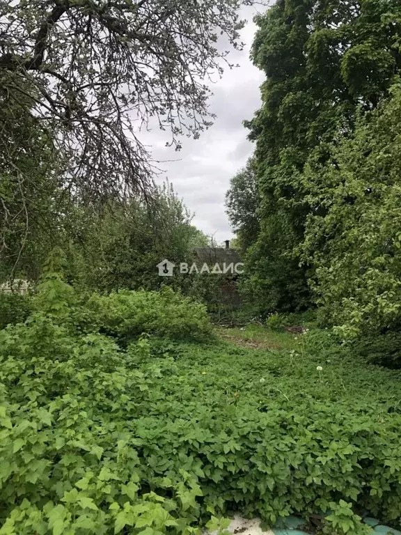 Участок в Ленинградская область, Всеволожский район, Колтушское ... - Фото 2