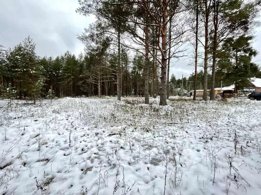 Участок в Ленинградская область, Киришский район, Будогощь пгт ул. ... - Фото 2