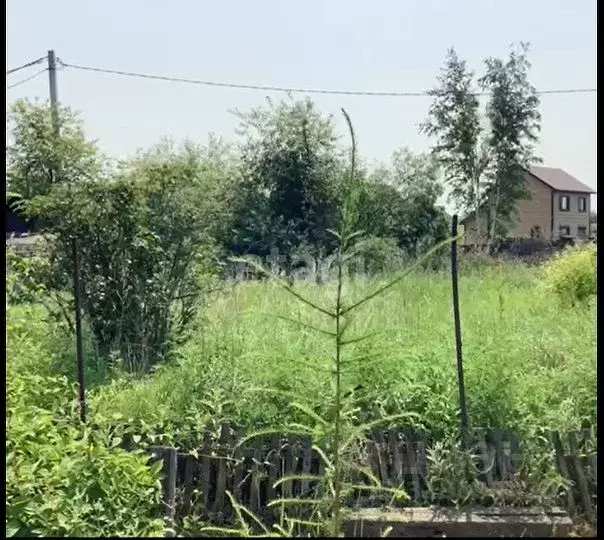 Участок в Амурская область, Благовещенский район, Дубравушка тер. л64 ... - Фото 2