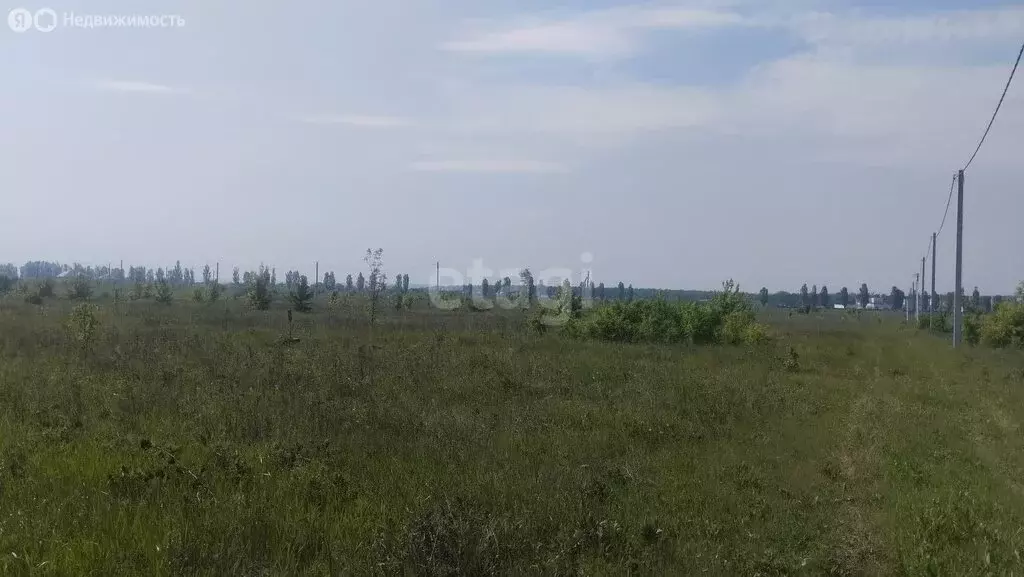 Участок в Белгородская область, Яковлевский муниципальный округ, село ... - Фото 0