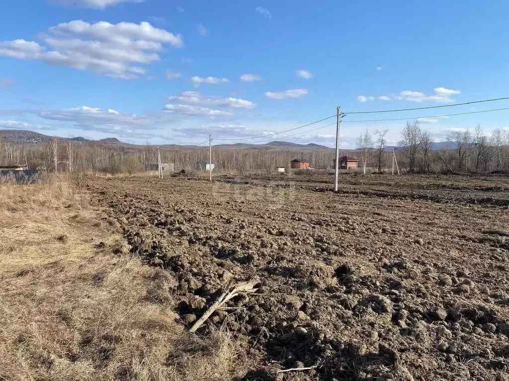 Участок в Хабаровский край, Хабаровский район, с. Сосновка  (12.2 ... - Фото 1