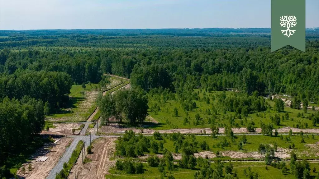 Участок в Новосибирская область, Новосибирский район, Кубовинский ... - Фото 2