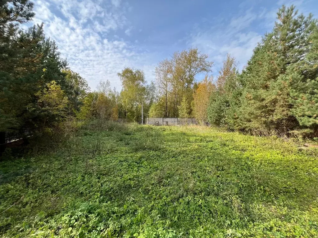 Участок в Московская область, Одинцовский городской округ, д. Сколково ... - Фото 2