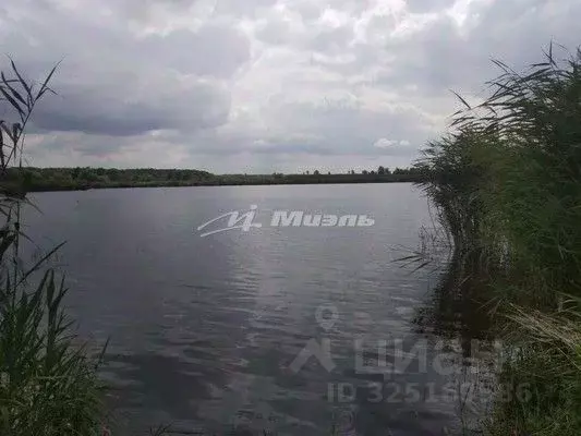 Участок в Крым, Симферопольский район, Чистенское с/пос, Родничок СПК ... - Фото 2