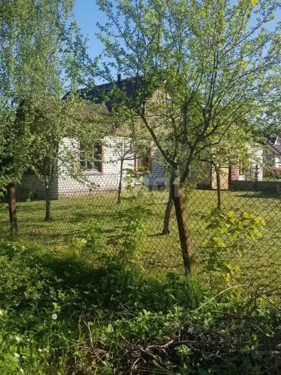 Дом в Псковская область, Струги Красные рп ул. Боровая, 18 (78 м) - Фото 2