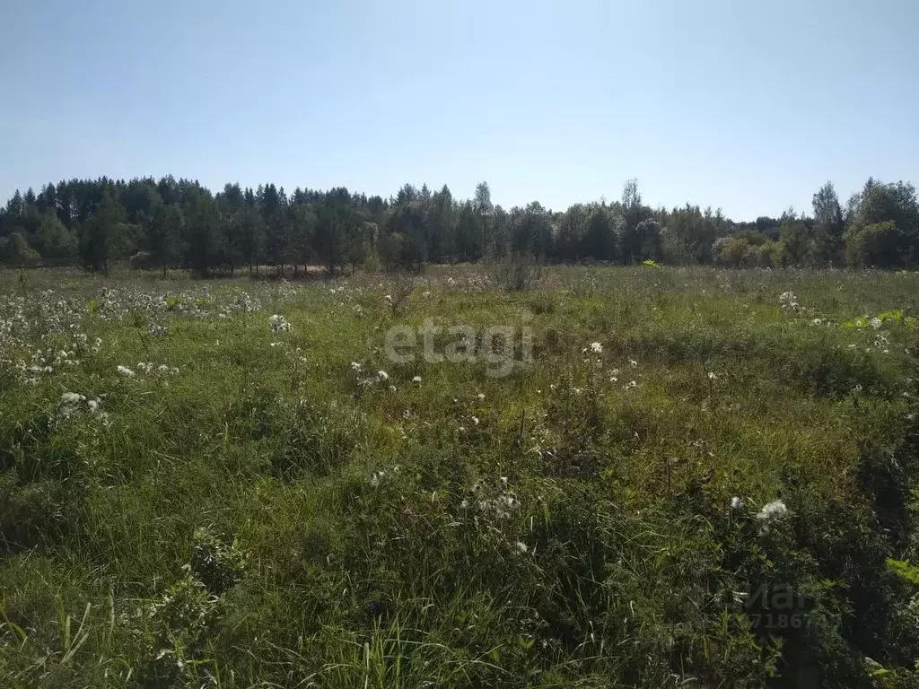 участок в новгородская область, боровичский район, железковское с/пос, . - Фото 1