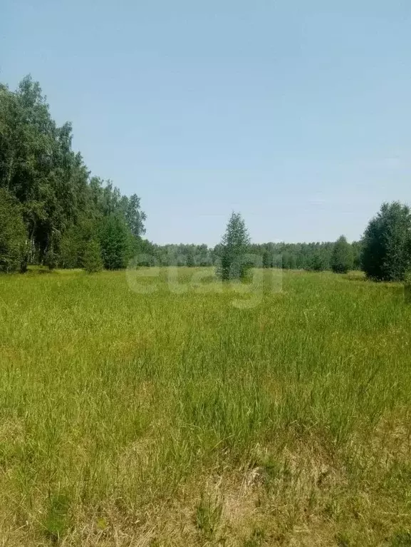 Участок в Кемеровская область, Кемерово Журавлевская ул. (15.0 сот.) - Фото 1