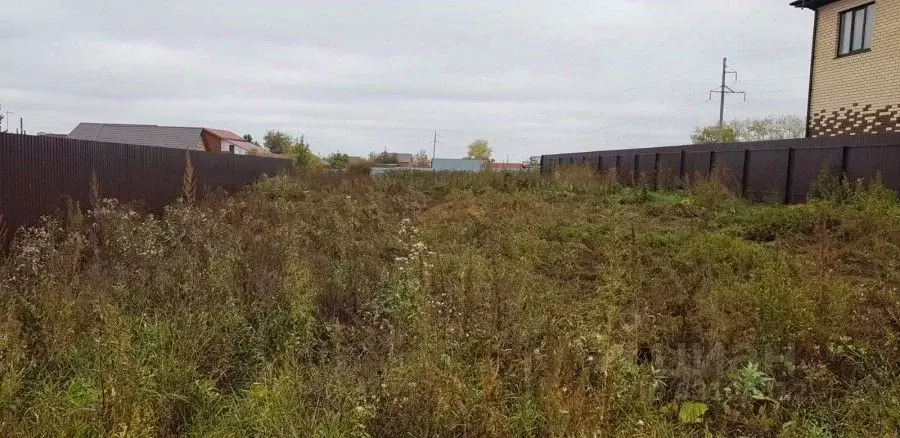 Плодовое луговое тюмень. Плодовое луговое тюмень