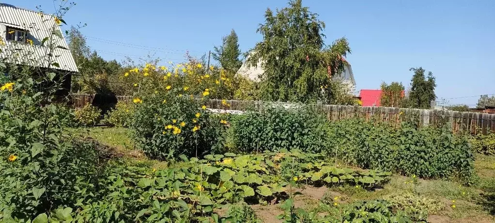Участок в Саха (Якутия), Якутск  (12.0 сот.) - Фото 1
