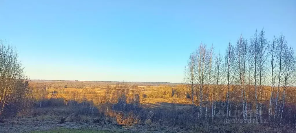 Дом в Смоленская область, Смоленский муниципальный округ, д. Муравщина ... - Фото 2