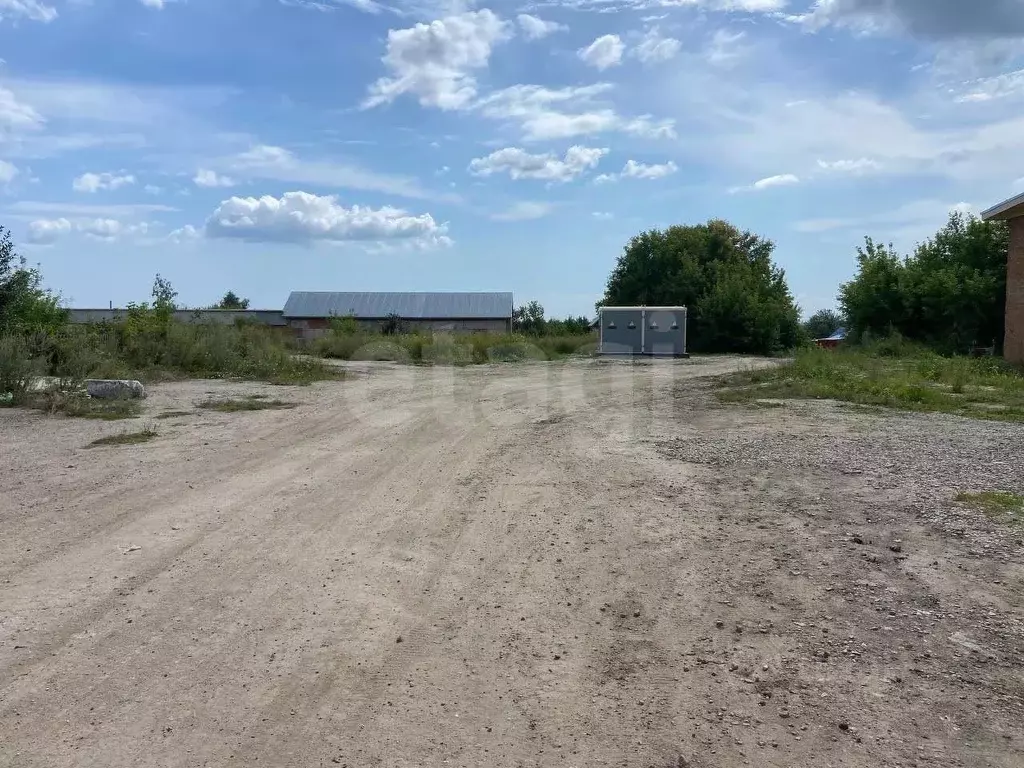 Склад в Новосибирская область, Колывань рп ул. Соловьева, 117/2 (560 ... - Фото 1