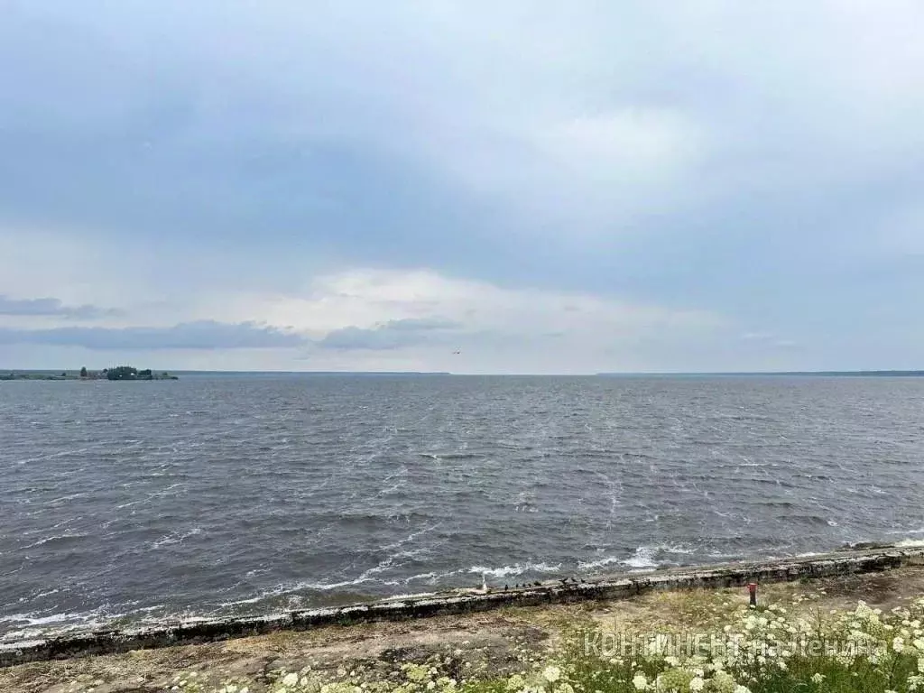 Участок в Ярославская область, Рыбинск Строитель-1 СНТ, 110 (6.8 сот.) - Фото 0