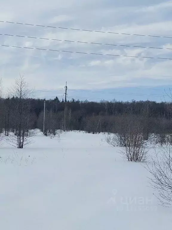 Участок в Московская область, Воскресенск городской округ, д. Губино ... - Фото 0