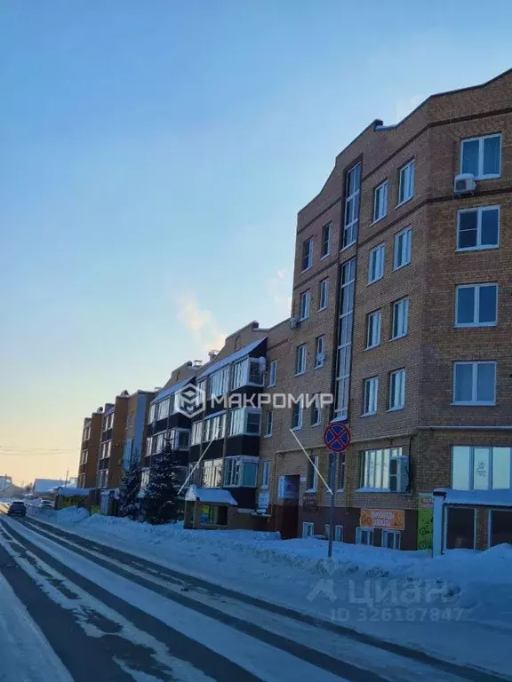 1-к кв. Челябинская область, с. Еткуль ул. Ленина, 50 (42.7 м) - Фото 1