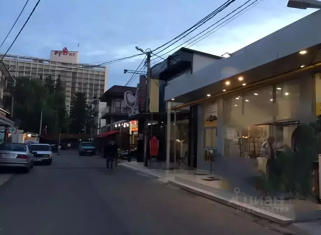 Помещение свободного назначения в Краснодарский край, Сочи ул. ... - Фото 2