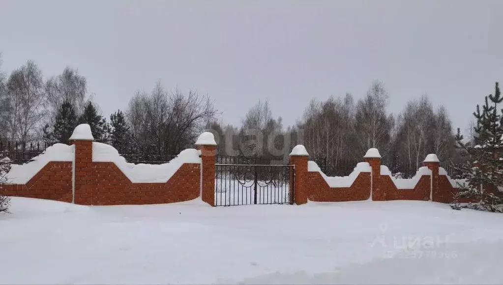 Участок в Алтайский край, Барнаул городской округ, пос. Бельмесево ул. ... - Фото 1