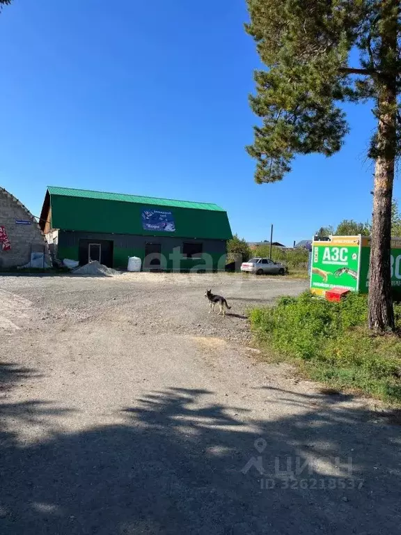 Офис в Свердловская область, Тугулым пгт ул. Федюнинского, 88 (150 м) - Фото 1