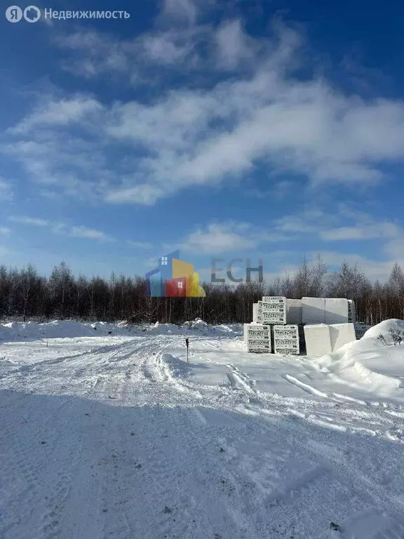 Участок в Тульская область, городской округ Тула, деревня Ямны (10 м) - Фото 1