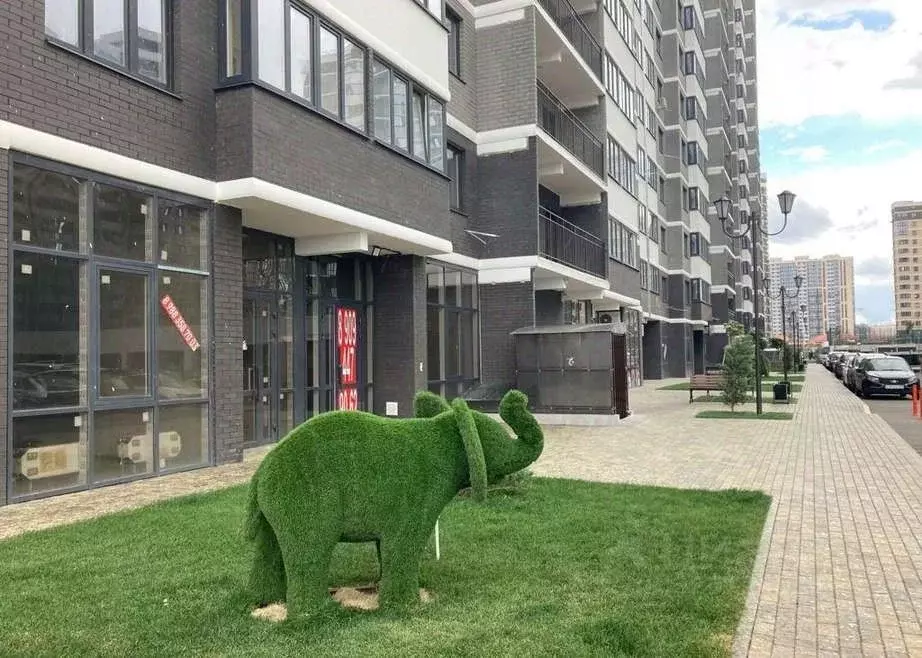 Помещение свободного назначения в Краснодарский край, Краснодар ул. ... - Фото 0