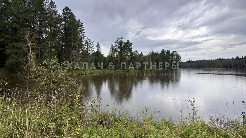 Участок в Свердловская область, Полевской муниципальный округ, д. ... - Фото 2