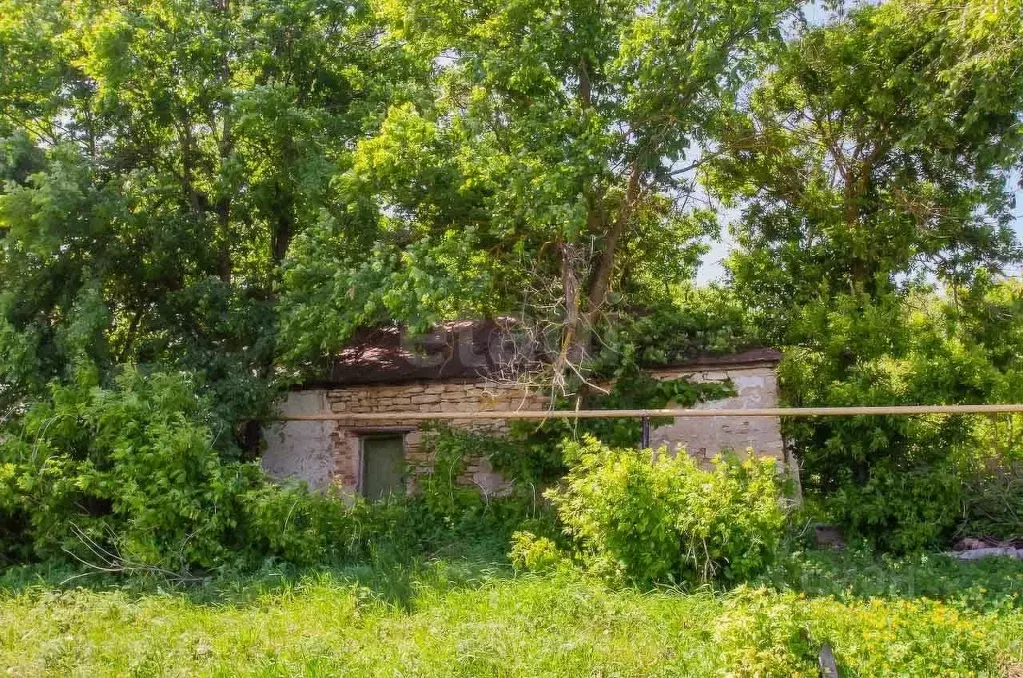 Дом в Липецкая область, Хлевенский муниципальный округ, с. Отскочное ... - Фото 1