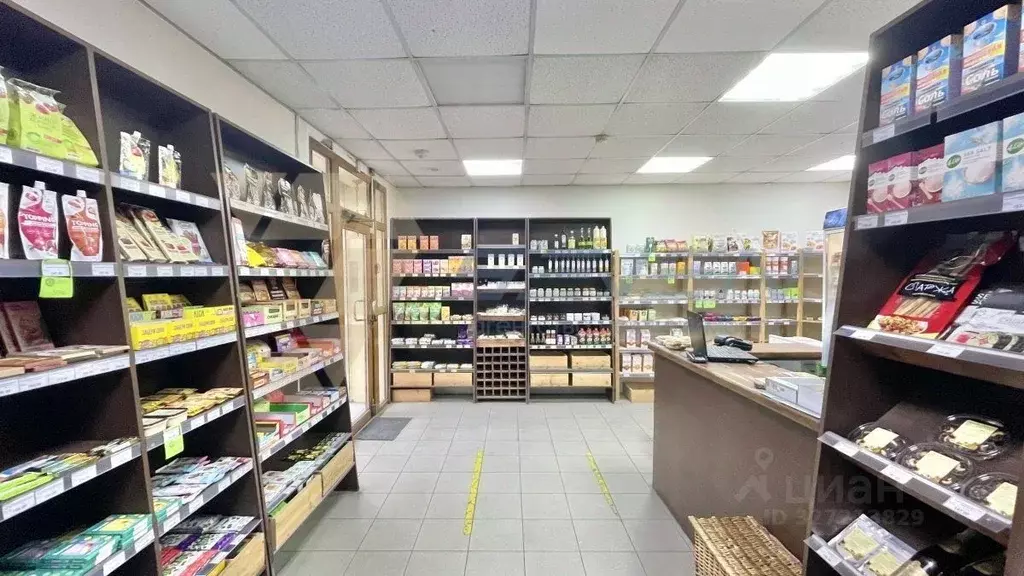 Офис в Севастополь ул. Очаковцев, 26 (30 м) - Фото 2