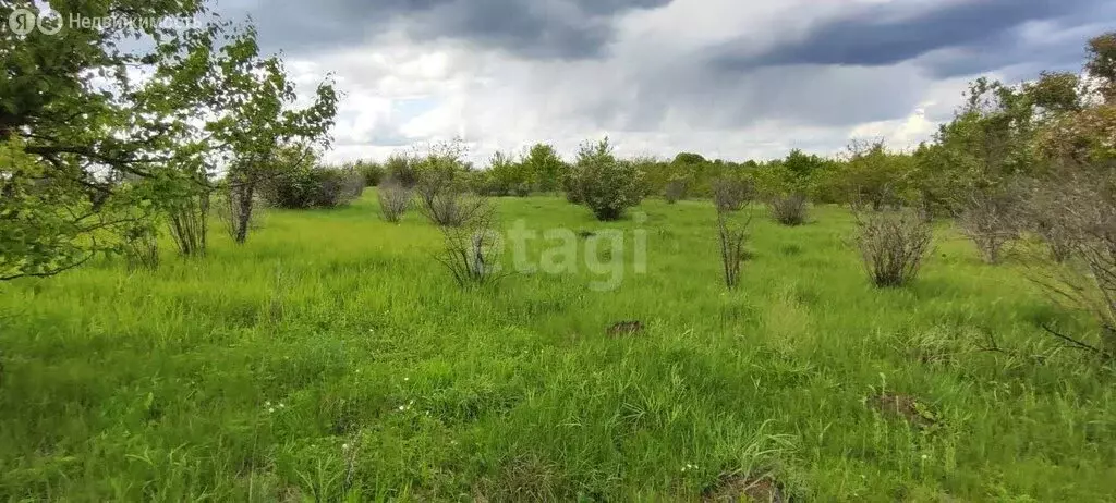 Участок в Рамонский район, Русскогвоздёвское сельское поселение, село ... - Фото 1