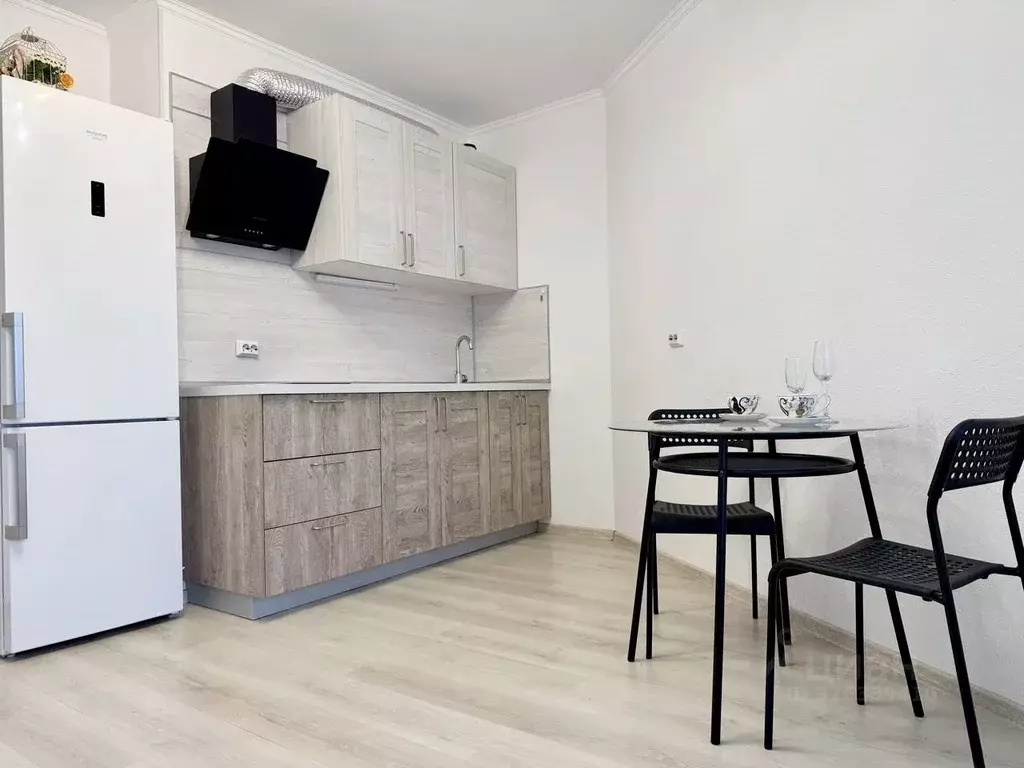 Студия Ленинградская область, Ломоносовский район, Виллозское ... - Фото 1