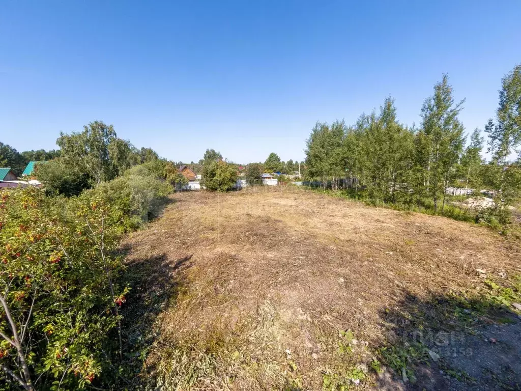 Участок в Тюменская область, Нижнетавдинский муниципальный округ, ... - Фото 1