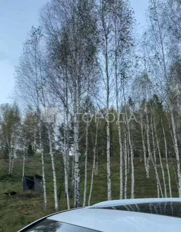 Участок 7 сот. (СНТ, ДНП) - Фото 0