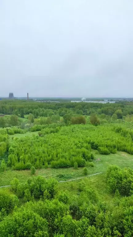 Студия Ленинградская область, Мурино Всеволожский район, ул. Шоссе в ... - Фото 1