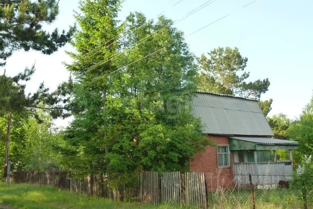 Участок в Омская область, Кормиловский район, Электромера-2 СНТ аллея ... - Фото 1