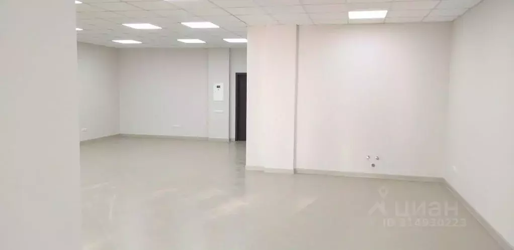 Помещение свободного назначения в Новосибирская область, Новосибирск ... - Фото 1