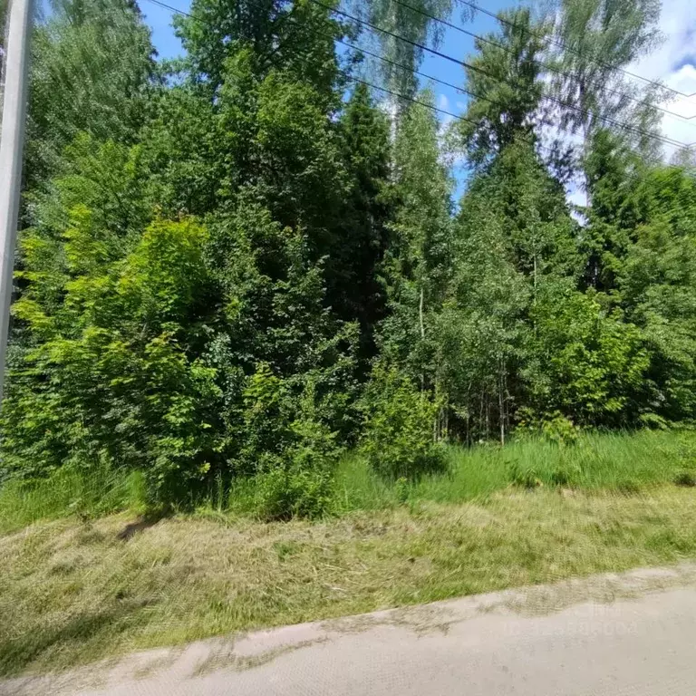 Участок в Московская область, Одинцовский городской округ, д. Сивково, ... - Фото 2