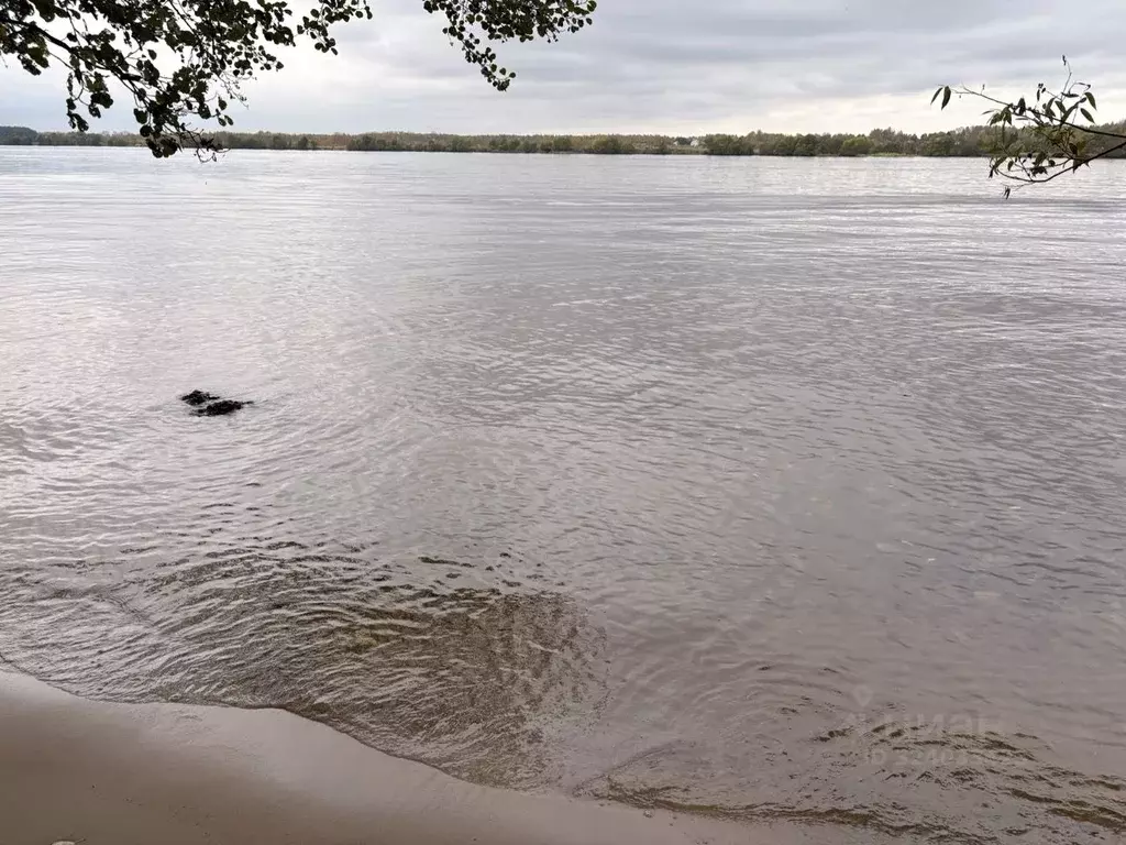 Участок в Тверская область, Кимрский муниципальный округ, д. Кадниково ... - Фото 1