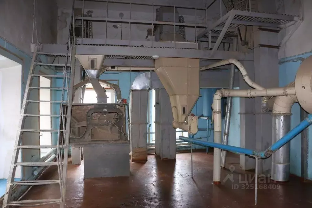 Производственное помещение в Саратовская область, Екатериновка рп ул. ... - Фото 2