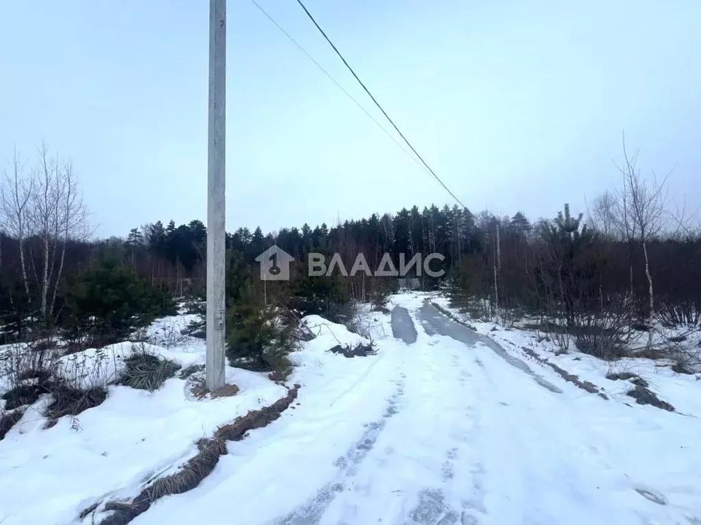 Участок в Владимирская область, Владимир д. Уварово, ул. Юринская ... - Фото 1