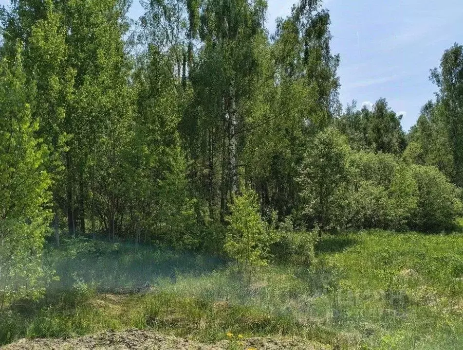 Участок в Московская область, Дмитровский муниципальный округ, д. ... - Фото 1
