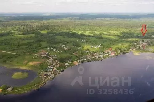 Участок в Новгородская область, Валдайский район, Едровское с/пос, д. ... - Фото 0