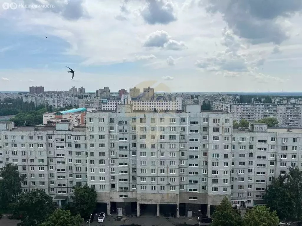 1-комнатная квартира: Старый Оскол, микрорайон Жукова, 53 (34.4 м) - Фото 1
