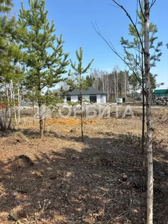 Участок в Тюменская область, Тюменский район, с. Княжево Комсомольская ... - Фото 1