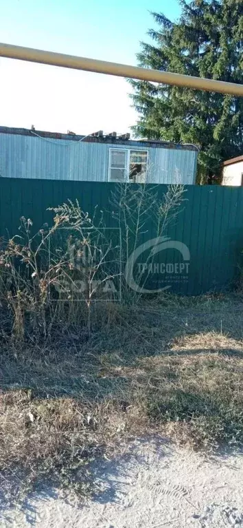 Участок в Воронежская область, Семилукское с/пос, с. Ендовище ул. Зои ... - Фото 2