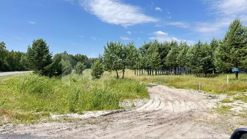Участок в Тюменская область, Тюмень Поле Чудес садовое товарищество, ... - Фото 1