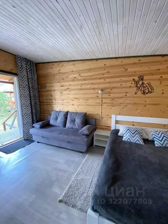 Дом в Алтай, Чемальский район, с. Чемал ул. Сосновая, 1А (20 м) - Фото 1