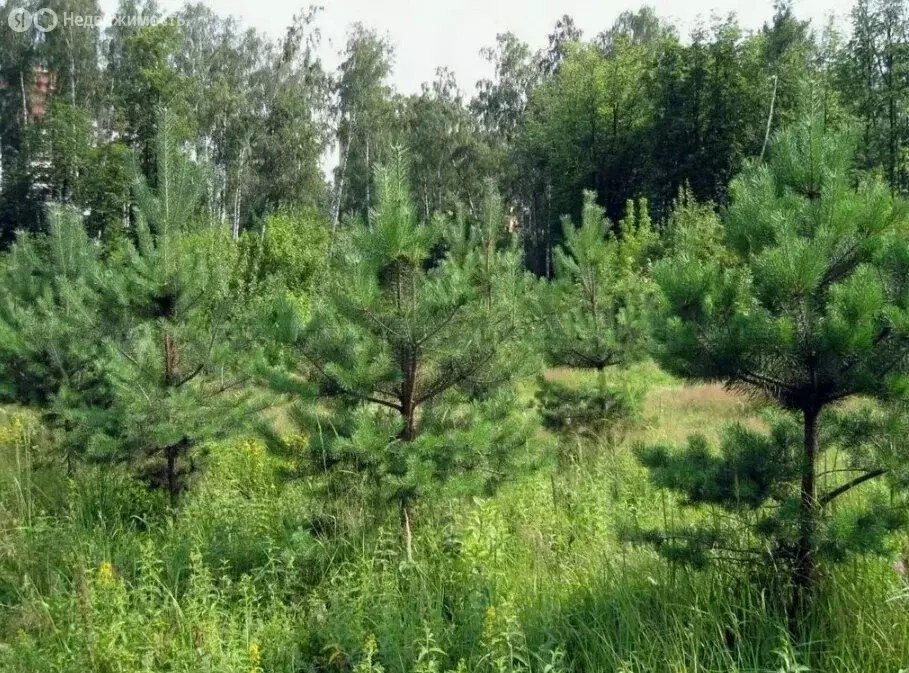 Участок в Казань, улица Амет-Хана Султана (10 м) - Фото 0