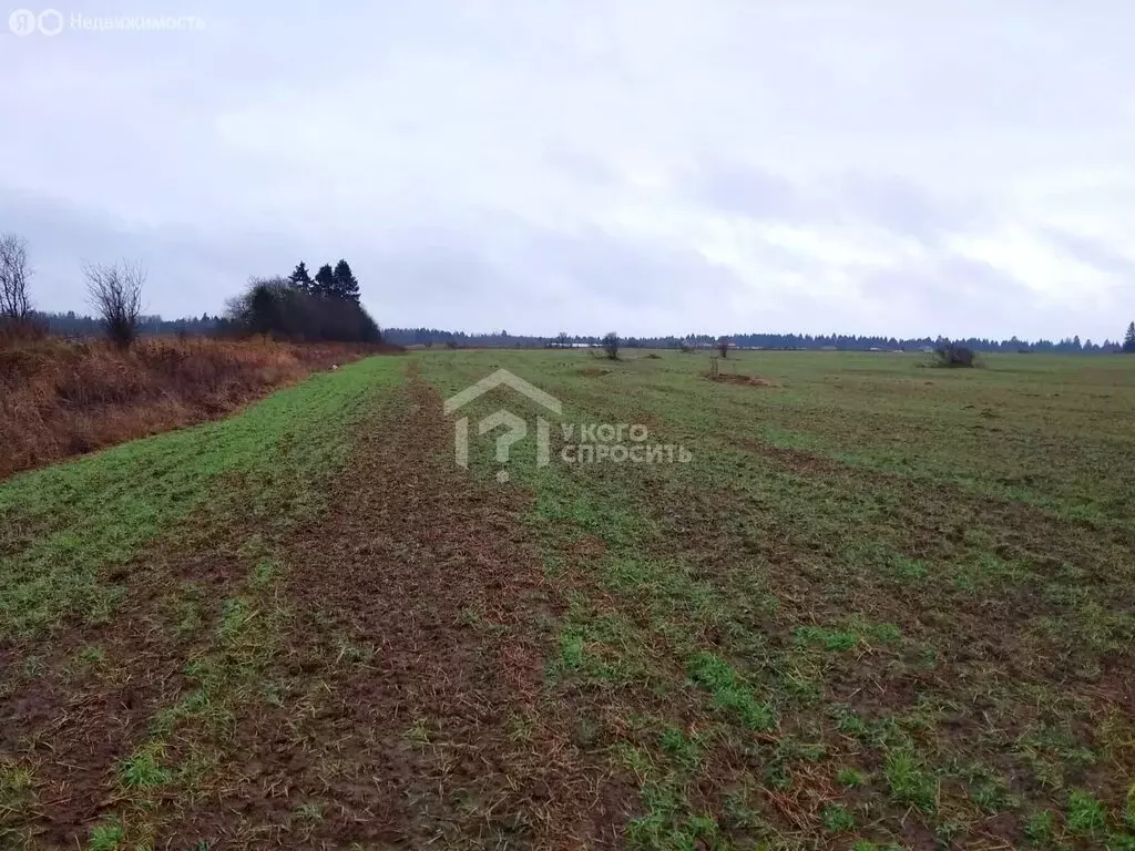 Участок в Ломоносовский район, деревня Гостилицы (200 м) - Фото 0