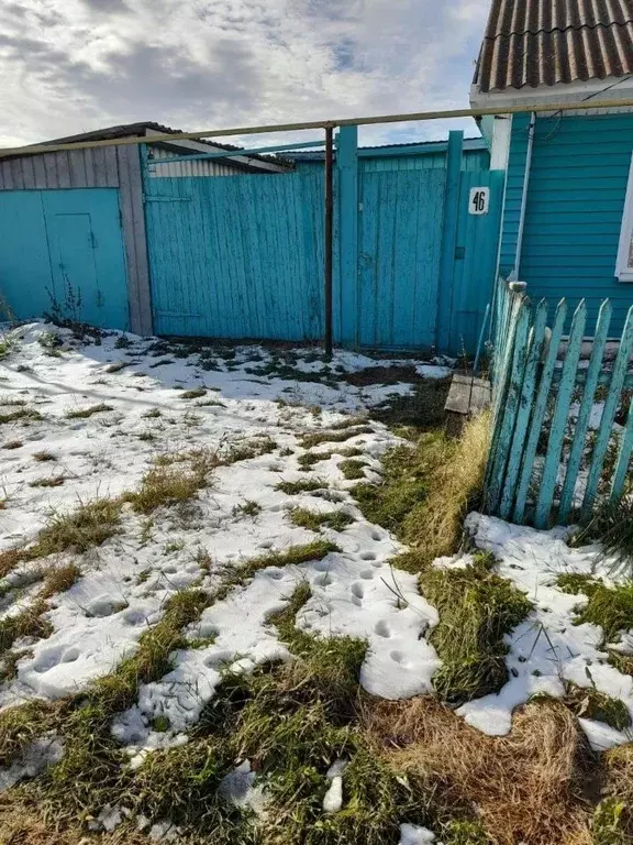 Дом в Омская область, Тюкалинск Новая ул., 46 (60 м) - Фото 1